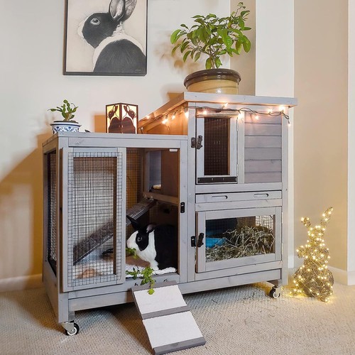 Aivituvin upgrade rabbit - aivituvin,